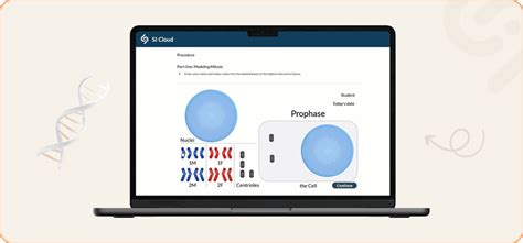 Virtual Lab Genetics 的图像结果