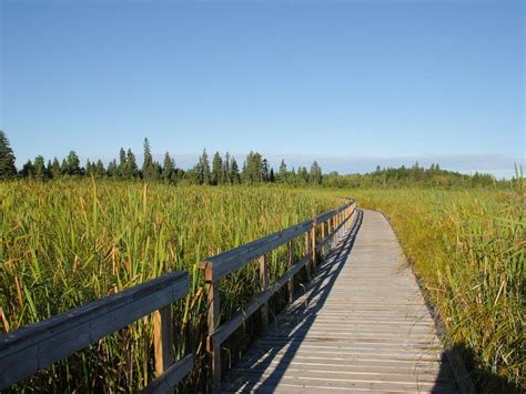 Onanole Tourism: All You Need to Know Before You Go (2024)