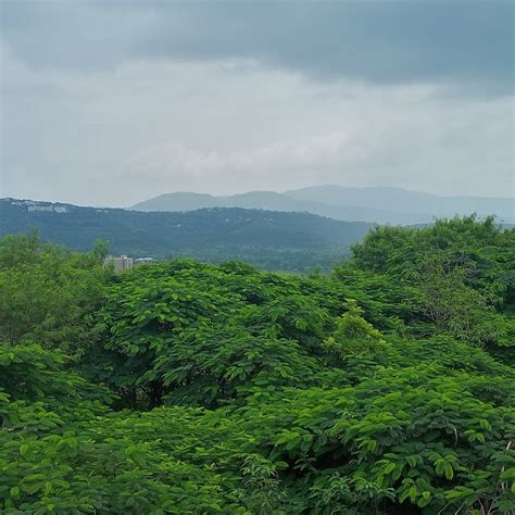 SANDIPANI HOMETEL (Lavale) - Hotel Reviews & Photos - Tripadvisor