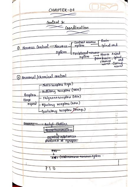 Image result for Control and Coordination Notes From PDF