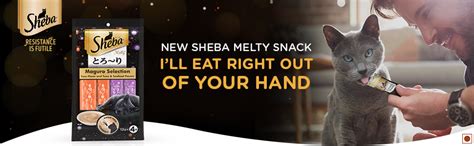Buy Sheba Melty Premium Lickable Creamy Cat Treats, Maguro Selection ...