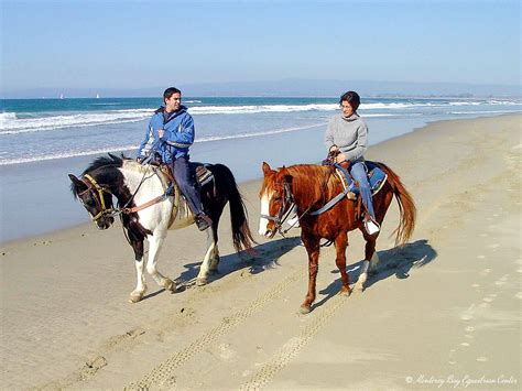Salinas River State Beach Horseback Tours – Roadside Secrets