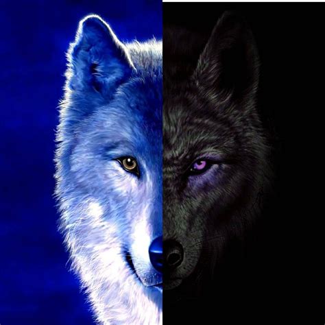 Download Cute Wolf Yin Yang Wallpaper | Wallpapers.com - wallpaper of yin and yang