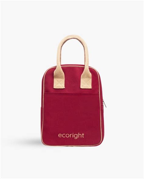 Buy Tiffin Bag Online | Maroon & Beige – Ecoright