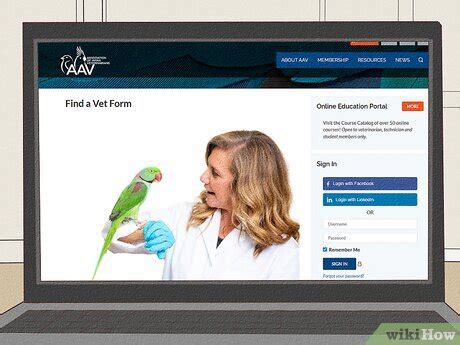 Sick Parakeet 的图像结果