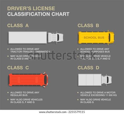 Basic Driving Rules 的图像结果