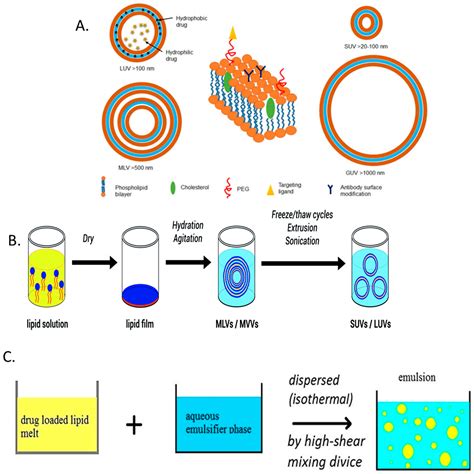 Emerging Nanomedicine Therapies to Counter the Rise of Methicillin ...