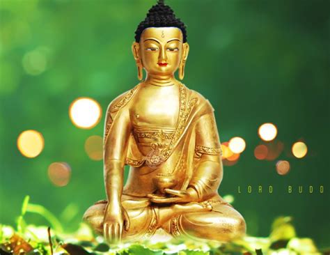 SBCS||Sree Buddha Central School