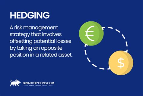 Hedging Example 的图像结果