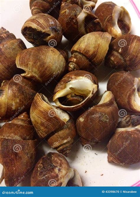 Image result for Shell Seafood