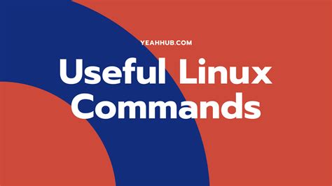 Useful Linux Commands 的图像结果