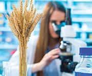 Plant-Based Solutions for Food Sensitivity - Life Extension