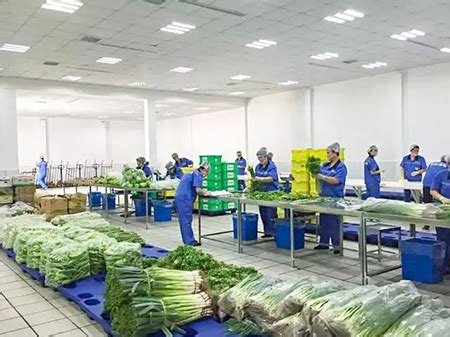 蔬菜配送行业越来越规范完善的好处-上海中膳食品科技有限公司