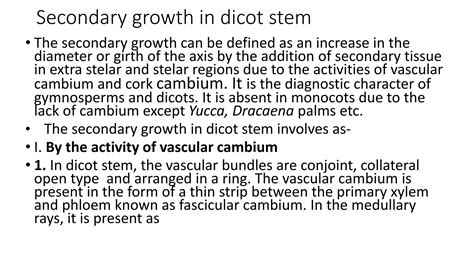 Secondary growth of dicot stem | PPTX