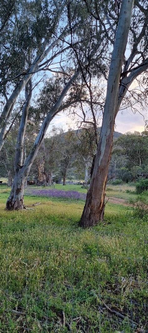 THE BEST Places to Visit in Telowie (2025) - Must-See Attractions