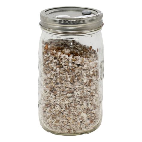 The Complete Guide to Pellet-Based Mushroom Substrates – Out Grow