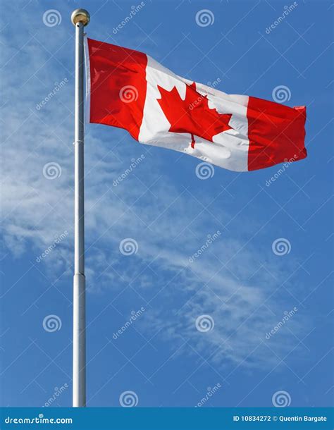 The Maple Leaf - Canada S National Flag Stock Photo - Image of flag ...
