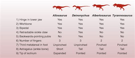 Dinosaur Evolution 的图像结果