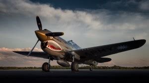 A Flying Tiger - The Curtis P-40 Warhawk in Photos | War History Online