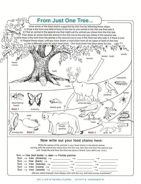 Science For 3rd Grade Worksheets - Scienceworksheets.Net