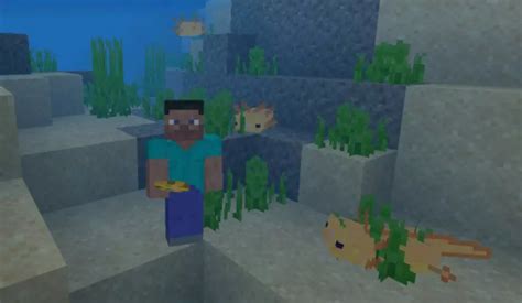 Image result for Minecraft Java Edition Axolotl Mod