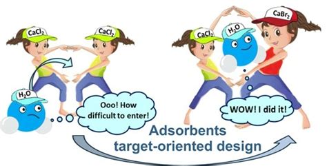 Composites Based on CaCl2-CaBr2 Salt System for Adsorption Applications ...