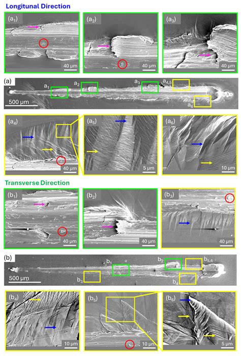 Scratch-Induced Deformation Behavior of Wire-Arc Directed Energy ...