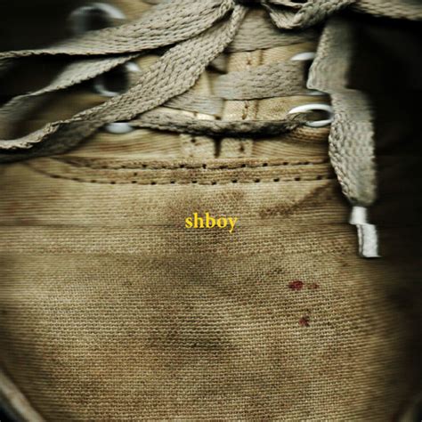 Shboy Machine 的图像结果