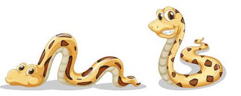 遇到蛇怎么逃跑 怎么区别有毒和无毒蛇_知秀网