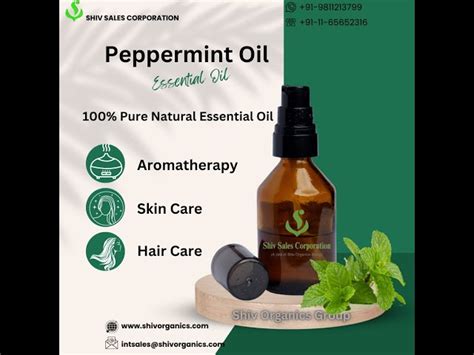 Mint Oil - Peppermint Essential Oil Trader - Wholesaler / Distributor ...