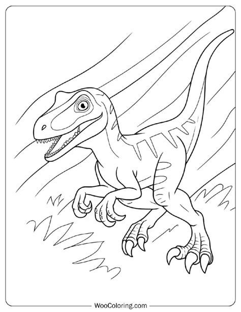 Image result for Video Speed Coloring