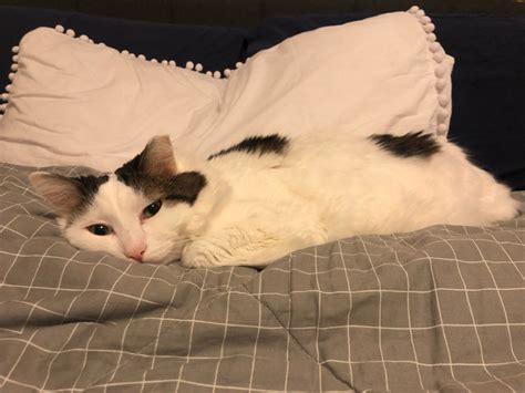 What are some of the things you should do prior to officially leaving ...