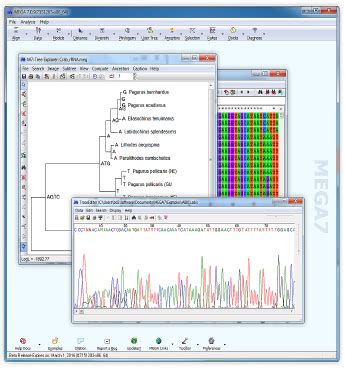 Mega Software Installation 的图像结果