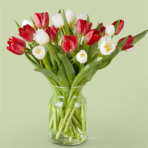 Image result for Spring Flower 321