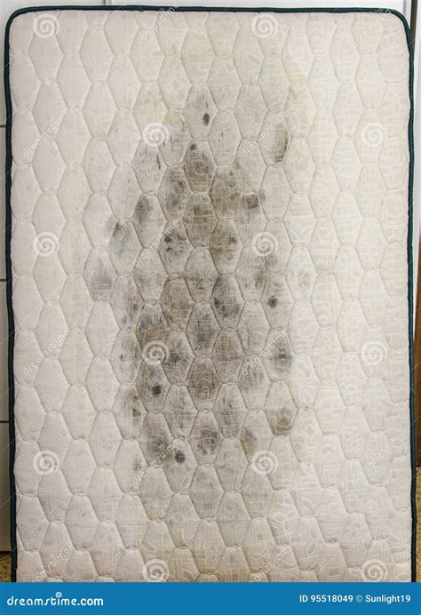 Mold On Mattress