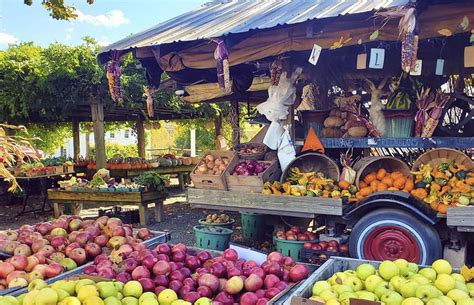 Where to find your state's best farm shop | lovemoney.com