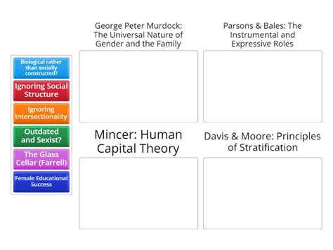 Image result for Structural Functionalist Paradigm Gender Examples