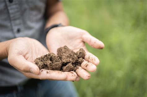 Organic Agriculture 的图像结果