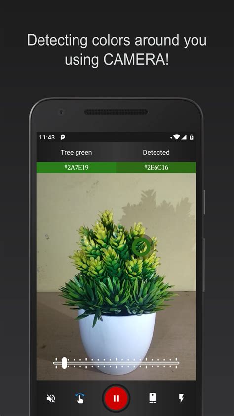 Color Identification 的图像结果