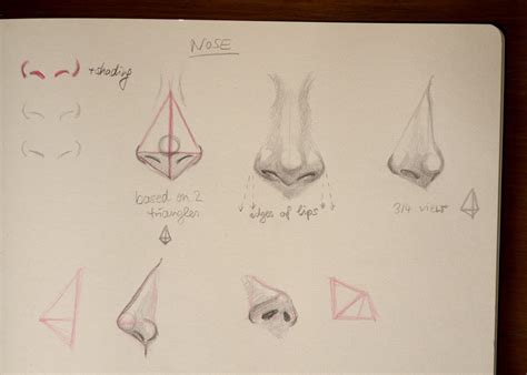 Tonal Nose Drawing Tutorial 的图像结果