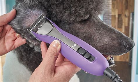 Best Professional Dog Grooming Clippers For Doodles at Sandra Madrigal blog
