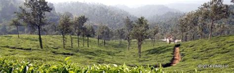 Top 17 hill stations in kerala