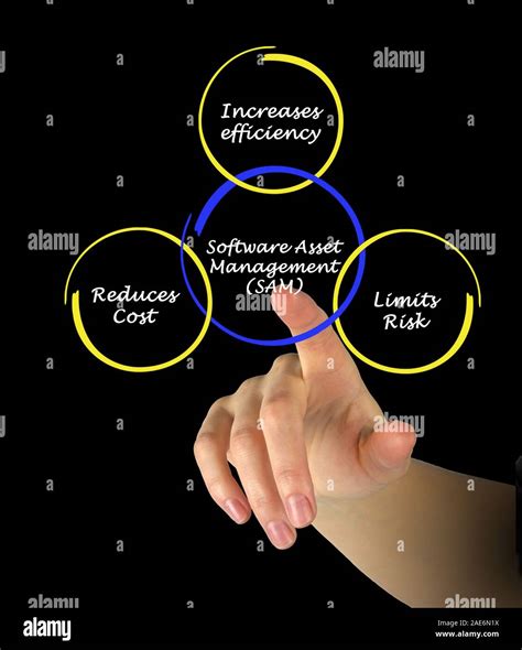 Image result for Software Asset Manegment Advert