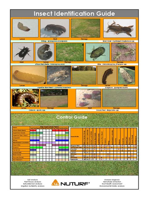 Image result for Insect Guide