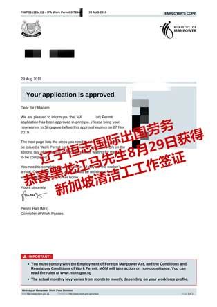 新加坡电子签证你能看懂多少