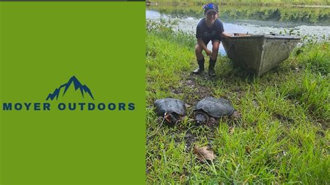 Image result for Catching Snapping Turtles