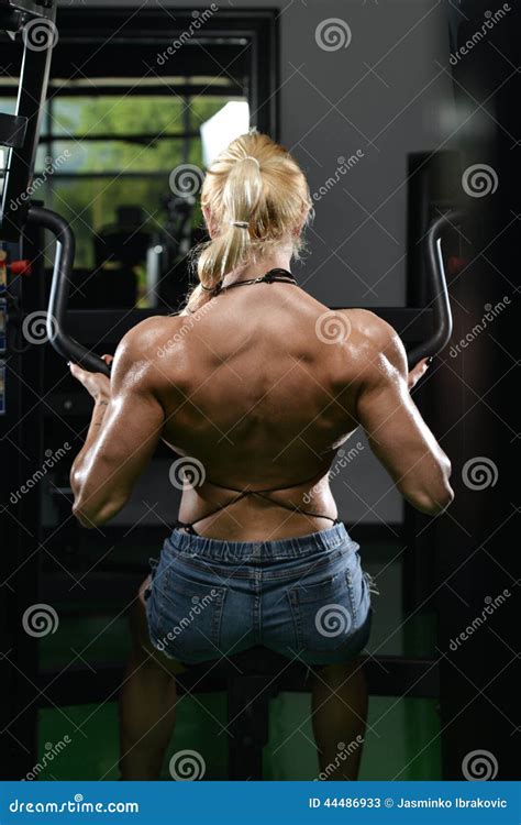 Back Muscles Bodybuilding