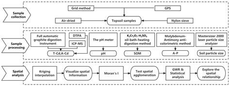 Use of Geographically Weighted Regression (GWR) to Reveal Spatially ...
