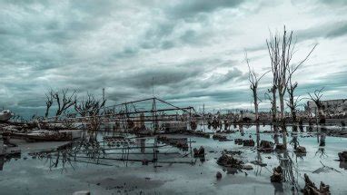 Natural disasters have cost the global economy $2 trillion in damage in ...