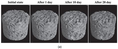 A Review of Atmospheric Deterioration and Sustainable Conservation of ...